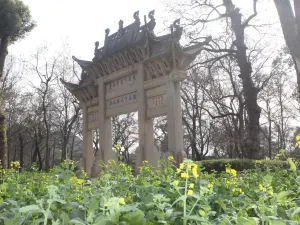 천평산(톈핑산)