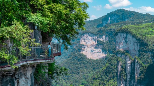 矮寨大橋+矮寨懸崖棧道+天問台+邊城茶峒+清水江遊船一日遊