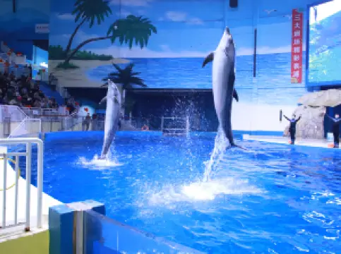 Shouguang Polar Ocean World