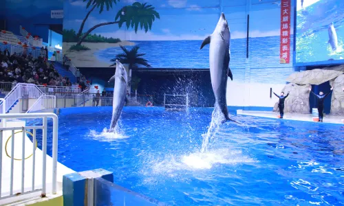 Shouguang Polar Ocean World