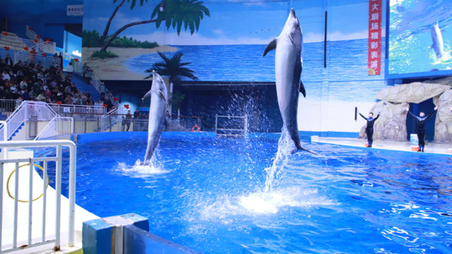 Shouguang Polar Ocean World