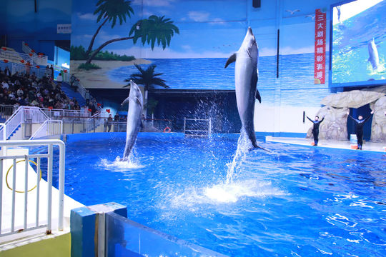 Shouguang Polar Ocean World