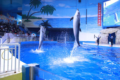 Shouguang Polar Ocean World