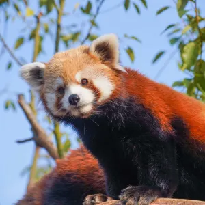 杭州野生動物世界