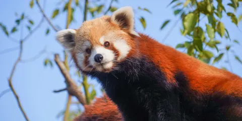 杭州野生動物世界