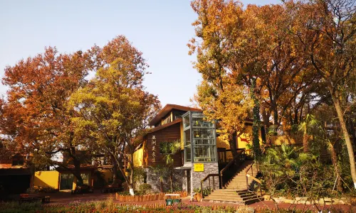 Nanjing Hongshan Forest Zoo