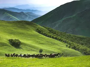 Huitengxile Huanghua Valley