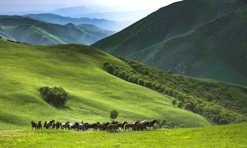 Huitengxile Huanghua Valley