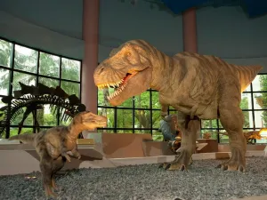 National Museum of Natural Science