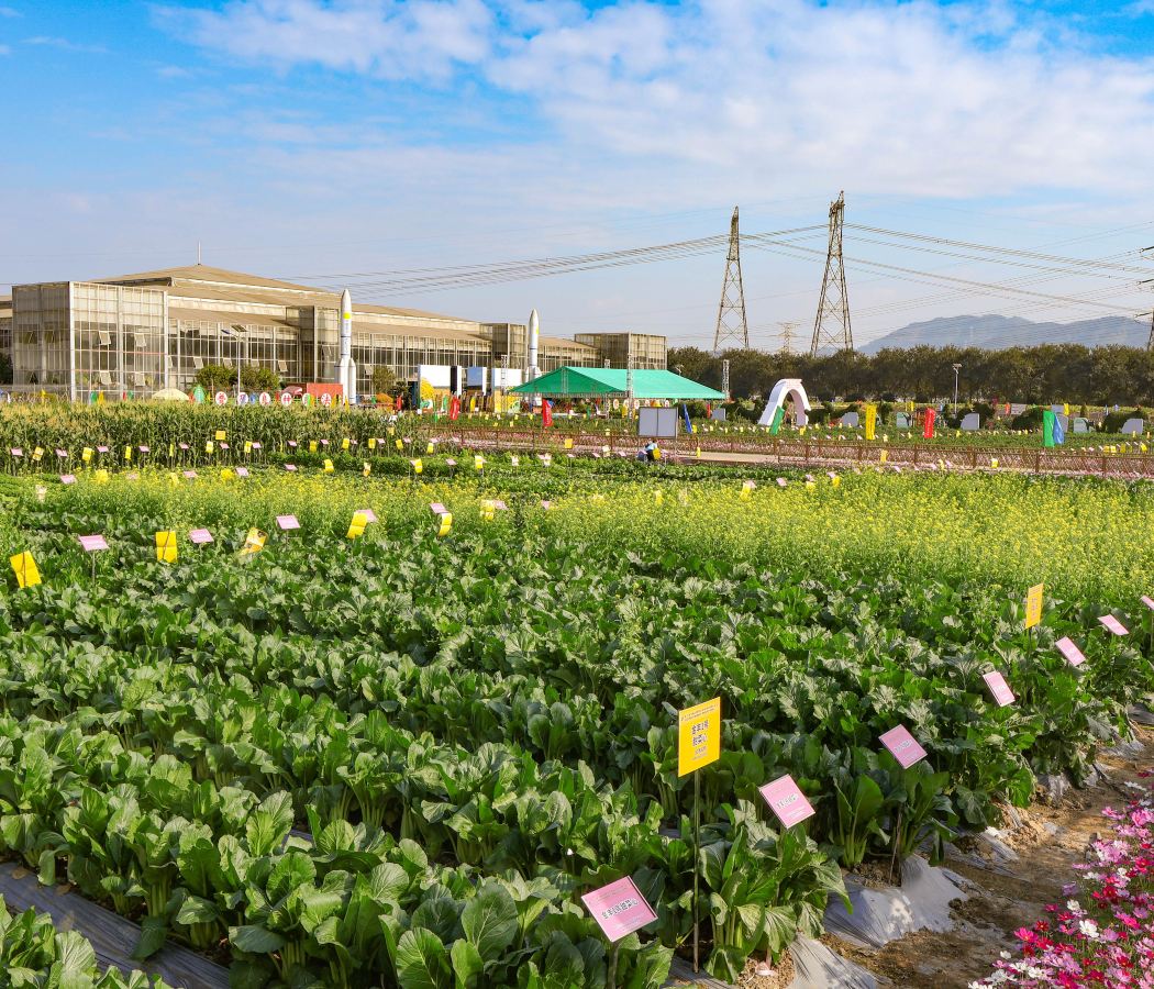 Huzheng Area