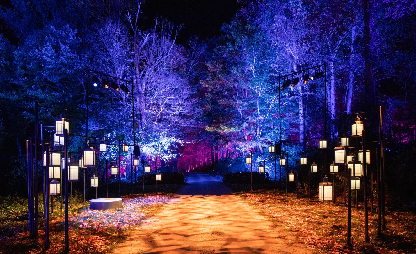 4_[Shenzhen] Harry Potter: A Forbidden Forest Experience