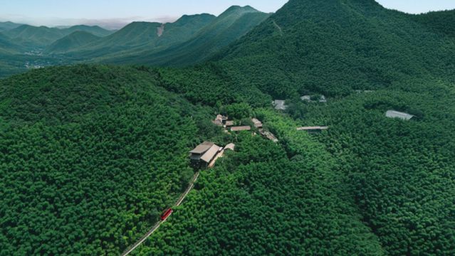 Tianmu Lake Nanshan Bamboo Sea Scenic Spot