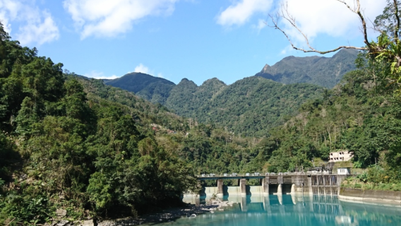 Neidong National Forest Playground