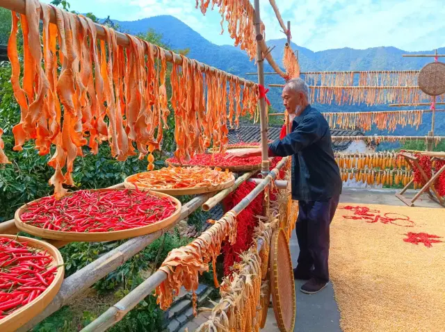 Wuyuan Autumn Sun-drying Harvest