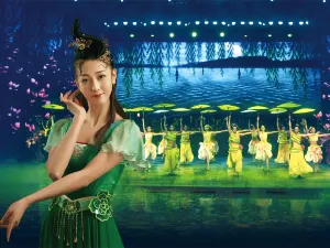 Hangzhou Songcheng Park