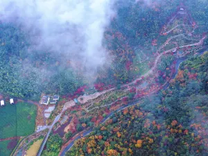 Valley Magic Shang Zhu