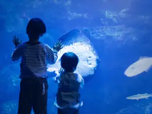 Kyoto Aquarium