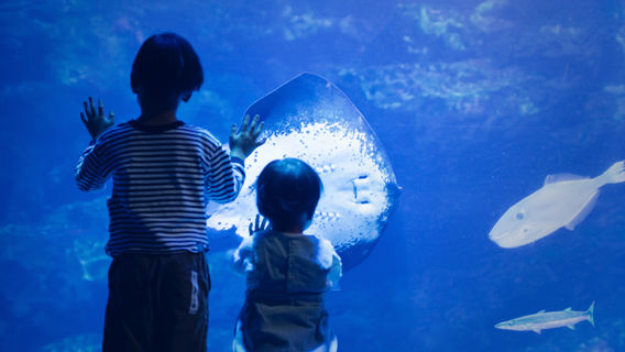 京都水族館