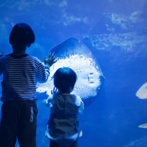 京都水族館