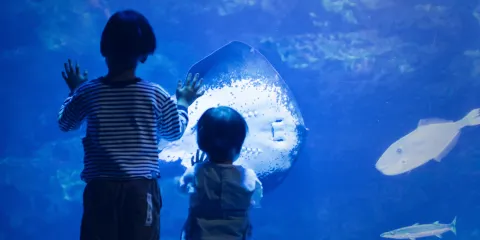 京都水族館