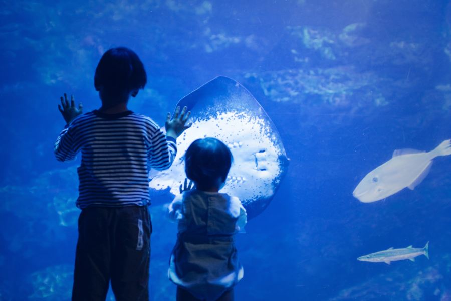 京都水族館
