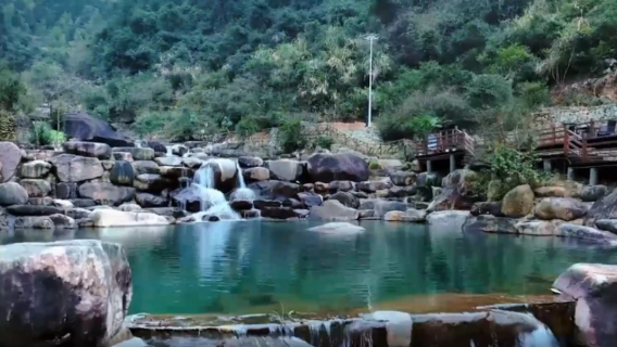 Colorful Flying Dragon Stream