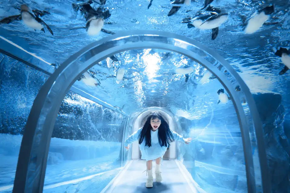 3_Shanghai Chang Feng Ocean World