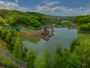 Chishui Bamboo Park