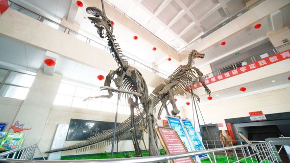Shandong Tianyu Museum of Natural History