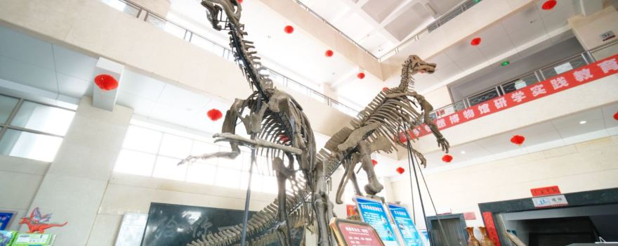 Shandong Tianyu Museum of Natural History