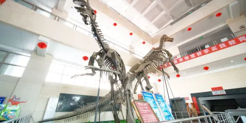 山東省天宇自然博物館