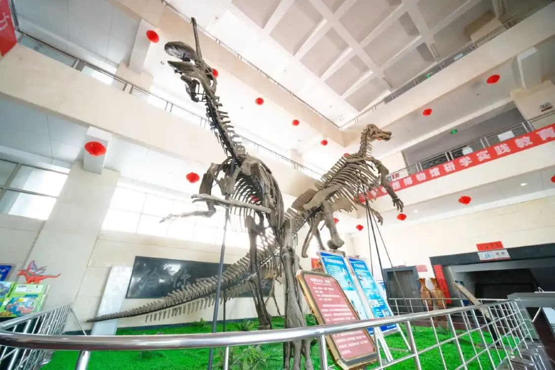 Hotels near Shandong Tianyu Museum of Natural History