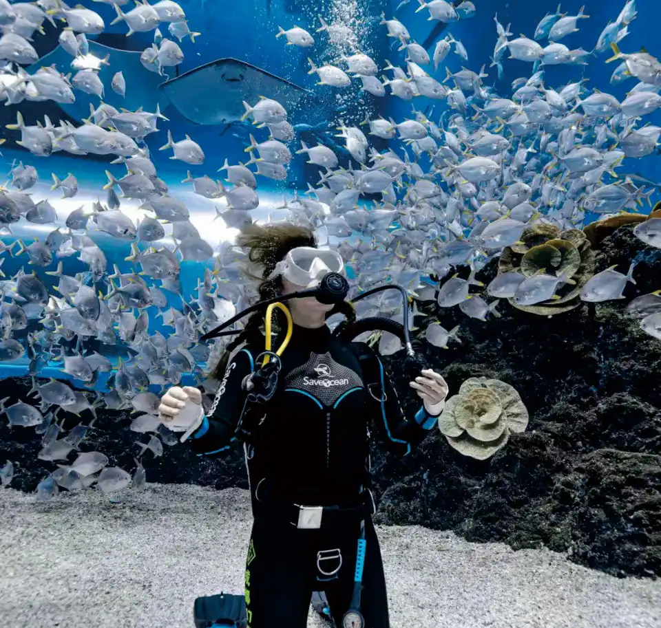3_Chengdu Cube Oceanarium