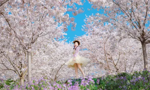 Manhua Sea of Flowers