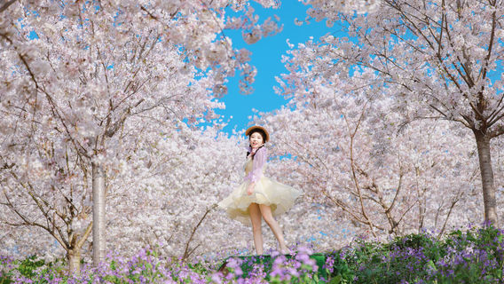 Manhua Sea of Flowers