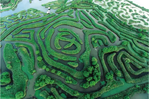Dazong Lake