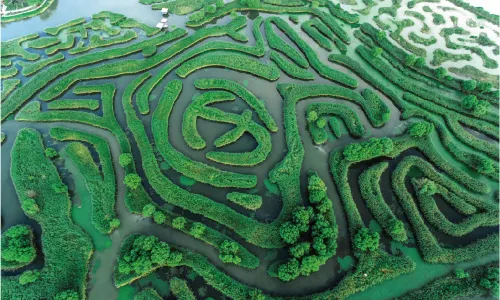 Dazong Lake