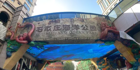 石家莊海洋公園(海悅天地購物廣場店)門票家庭(1位成人+1位小童)