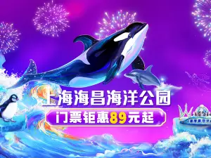 上海海昌海洋公園