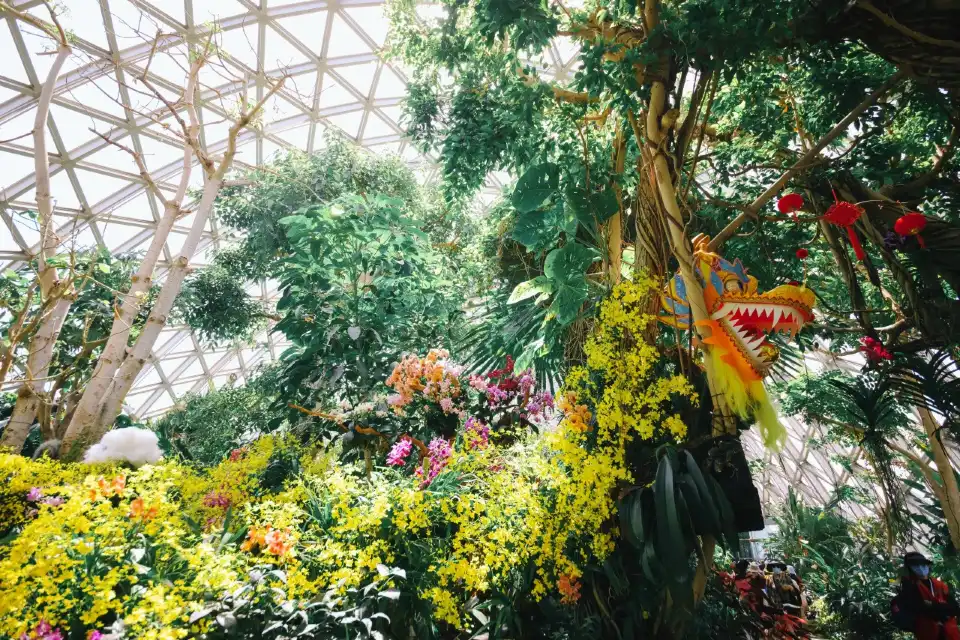 2_Chenshan Botanical Garden