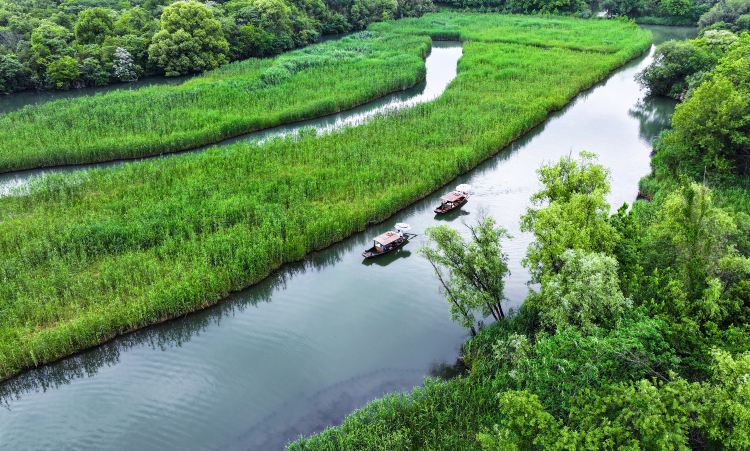西溪國家濕地公園