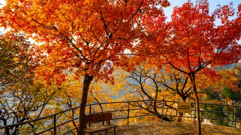 Tanxi Mountain attraction in Zibo