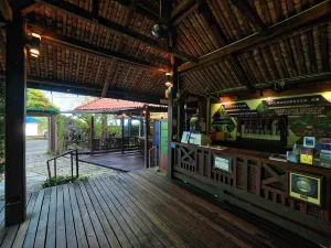 Tropical Spice Garden