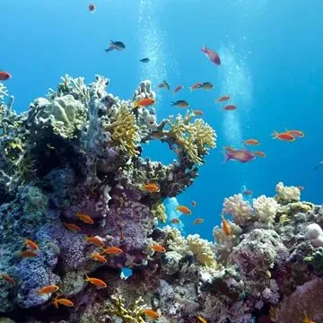 2_國家海洋生物中心