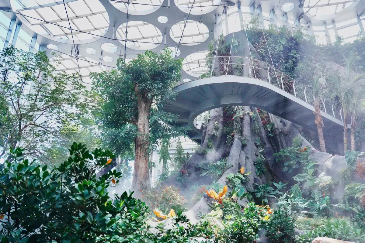 Shanghai Greenhouse Garden, un jardin botanique couvert à Shanghai