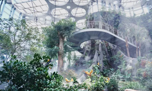 Shanghai Greenhouse Garden