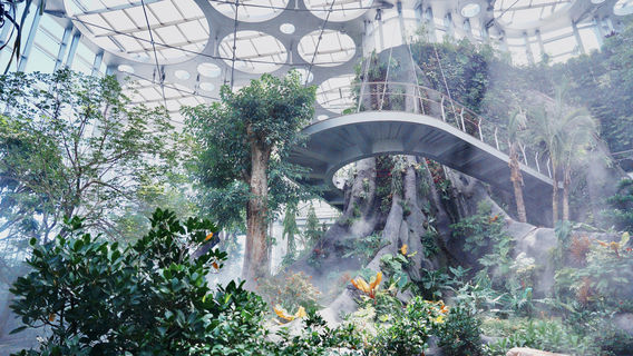 Shanghai Greenhouse Garden