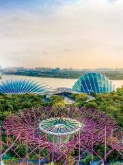 新加坡濱海灣花園