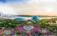 Gardens by the Bay