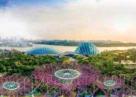 新加坡濱海灣花園
